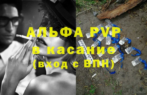PSILOCYBIN Ладушкин